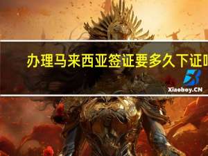 办理马来西亚签证要多久下证吗