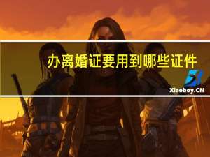 办离婚证要用到哪些证件