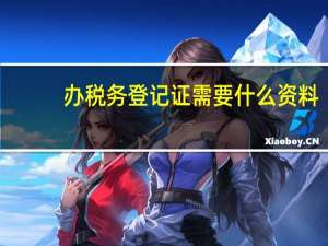 办税务登记证需要什么资料