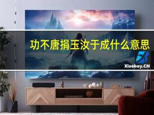 功不唐捐玉汝于成什么意思