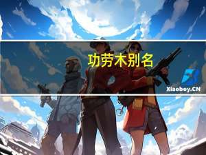 功劳木别名