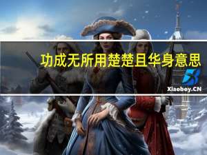 功成无所用楚楚且华身意思