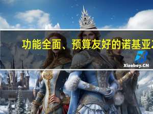 功能全面、预算友好的诺基亚2.3入美