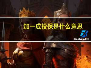 加一成投保是什么意思