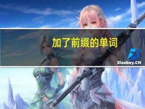 加了前缀的单词