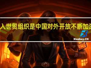 加入世贸组织是中国对外开放不断加深的体现