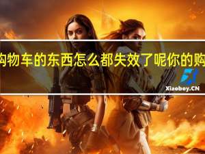 加入购物车的东西怎么都失效了呢 你的购物车打折了