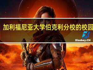 加利福尼亚大学伯克利分校的校园环境