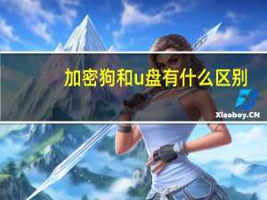 加密狗和u盘有什么区别（加密狗）