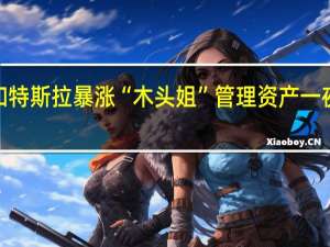 加密股票和特斯拉暴涨“木头姐”管理资产一夜飙升逾6亿美元
