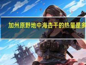 加州原野 地中海杏干的热量是多少