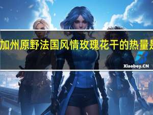 加州原野 法国风情玫瑰花干的热量是多少