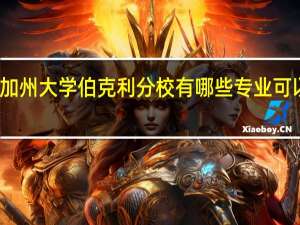 加州大学伯克利分校有哪些专业可以选择