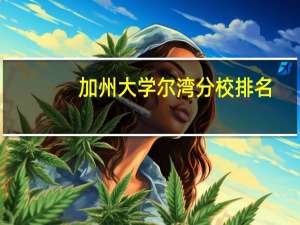 加州大学尔湾分校排名