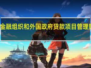 加强国际金融组织和外国政府贷款项目管理财政部印发文件
