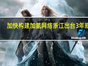 加快构建加氢网络浙江出台3年规划