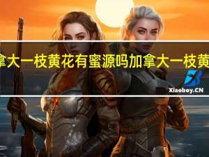 加拿大一枝黄花有蜜源吗 加拿大一枝黄花是什么