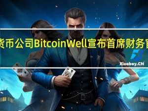 加拿大加密货币公司Bitcoin Well宣布首席财务官卢克·蒂博多离职