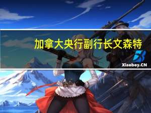 加拿大央行副行长文森特：通胀的下行路径比预期的要缓慢