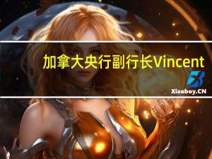 加拿大央行副行长Vincent：在遏制通胀方面加拿大央行“尚未走出困境”