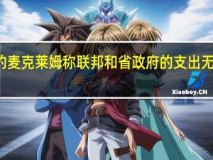 加拿大央行的麦克莱姆称联邦和省政府的支出无助于缓解通胀压力