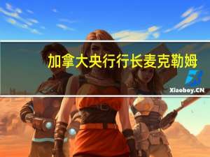 加拿大央行行长麦克勒姆：俄乌和巴以冲突正在损害经济并给前景增添了不确定性