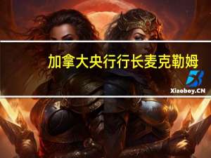 加拿大央行行长麦克勒姆：加元一直相对稳定