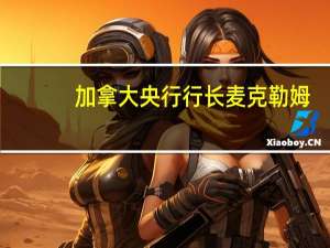 加拿大央行行长麦克勒姆：我们将继续评估货币政策是否足够具有限制性