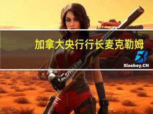 加拿大央行行长麦克勒姆：这意味着我们必须更多地依赖利率