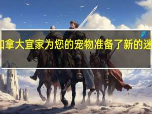 加拿大宜家为您的宠物准备了新的迷你家具