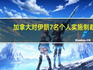 加拿大对伊朗7名个人实施制裁