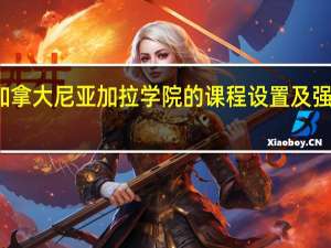 加拿大尼亚加拉学院的课程设置及强化课程