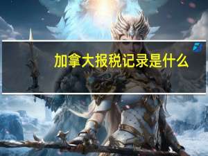 加拿大报税记录是什么