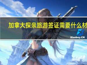 加拿大探亲旅游签证需要什么材料
