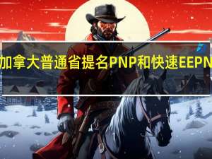 加拿大普通省提名PNP和快速EEPNP区别