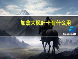 加拿大枫叶卡有什么用