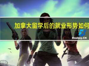 加拿大留学后的就业形势如何