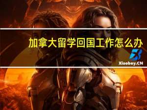 加拿大留学回国工作怎么办