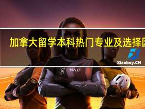 加拿大留学本科热门专业及选择因素