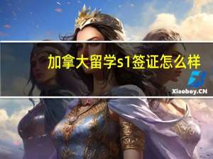加拿大留学s1签证怎么样