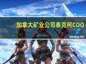 加拿大矿业公司泰克柯COO：公司有意跻身全球前十大铜矿公司