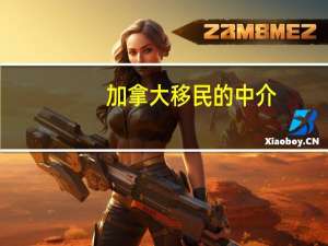 加拿大移民的中介