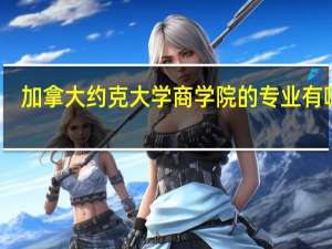 加拿大约克大学商学院的专业有哪些