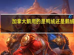 加拿大鹅用的是鸭绒还是鹅绒