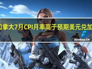 加拿大7月CPI月率高于预期美元兑加元USD/CAD持续下挫35点现报1.3456