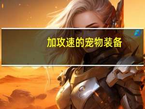 加攻速的宠物装备