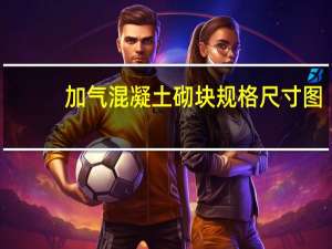 加气混凝土砌块规格尺寸图（加气混凝土砌块规格尺寸）