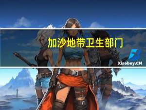 加沙地带卫生部门：当前援助机制无法改变日益恶化的人道主义状况