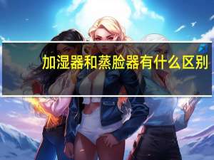 加湿器和蒸脸器有什么区别