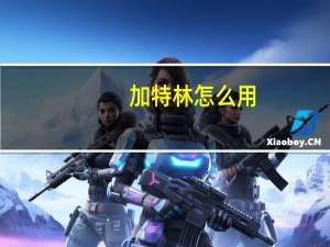 加特林怎么用